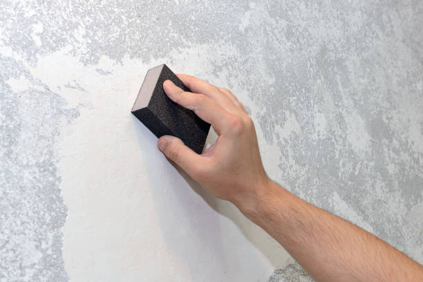 Best Mold Odor Removal Services  in Almont, MI