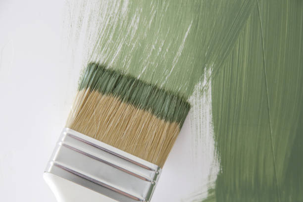 Professional Mold Removal in Almont, MI