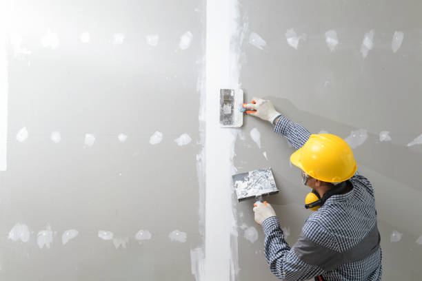 Best Emergency Mold Remediation  in Almont, MI