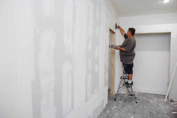 Best Black Mold Removal  in Almont, MI
