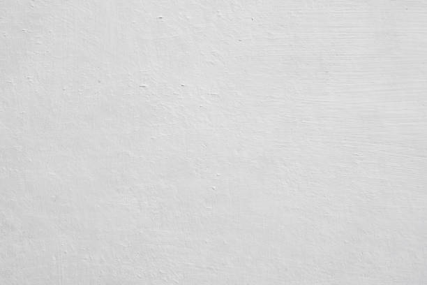 Best Attic Mold Removal  in Almont, MI