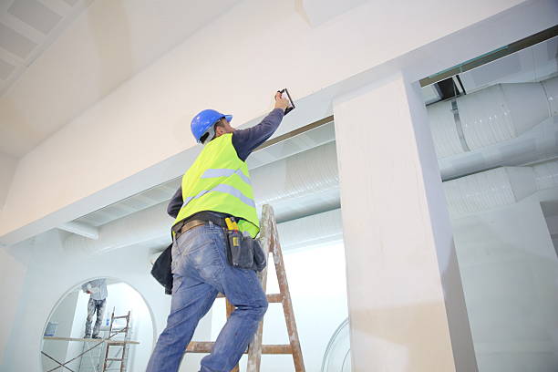 Best Commercial Mold Inspection  in Almont, MI